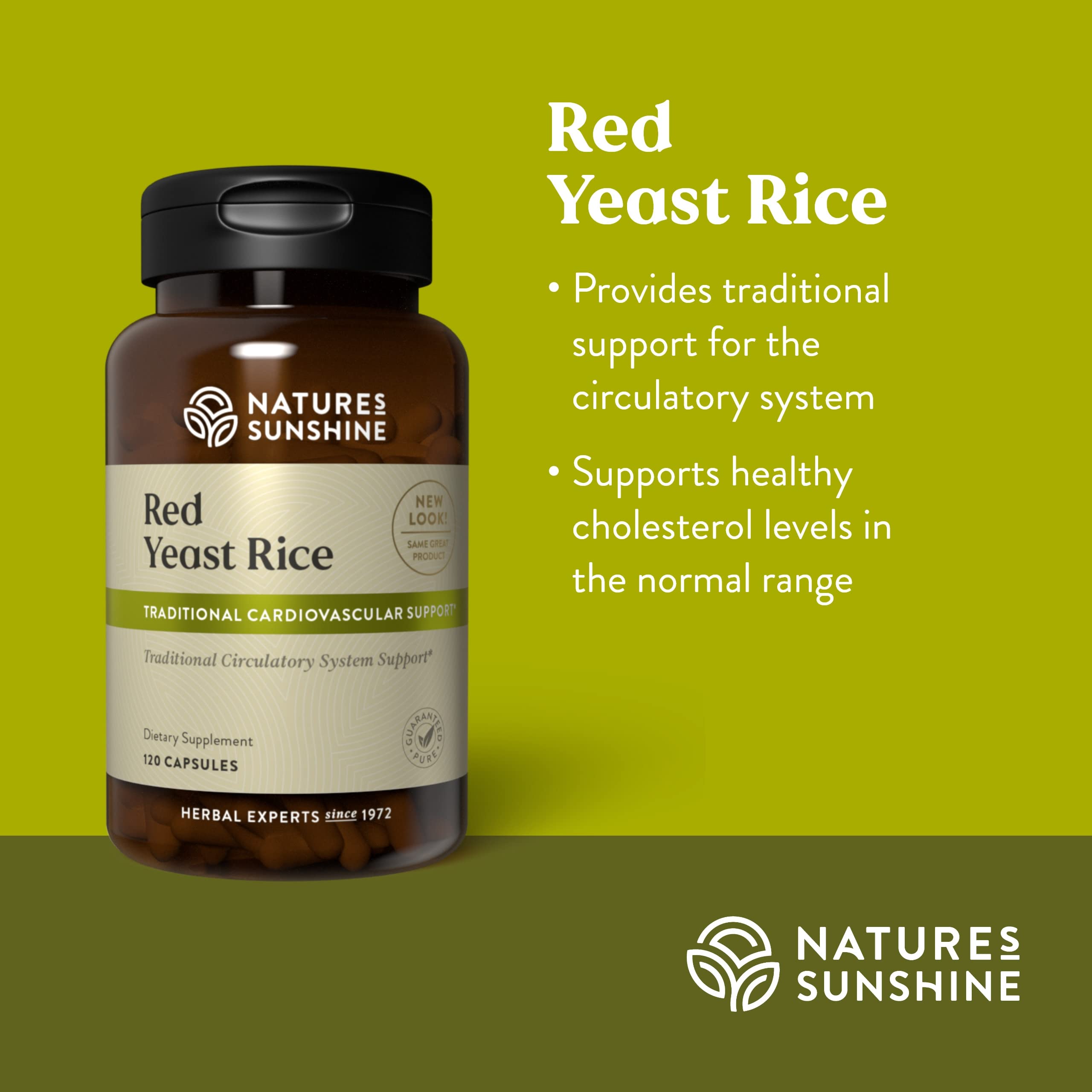 Another close-up shot of red yeast rice capsules