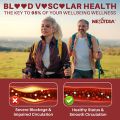 Sugar-free vegan Red Yeast Rice Gummies – 60 count