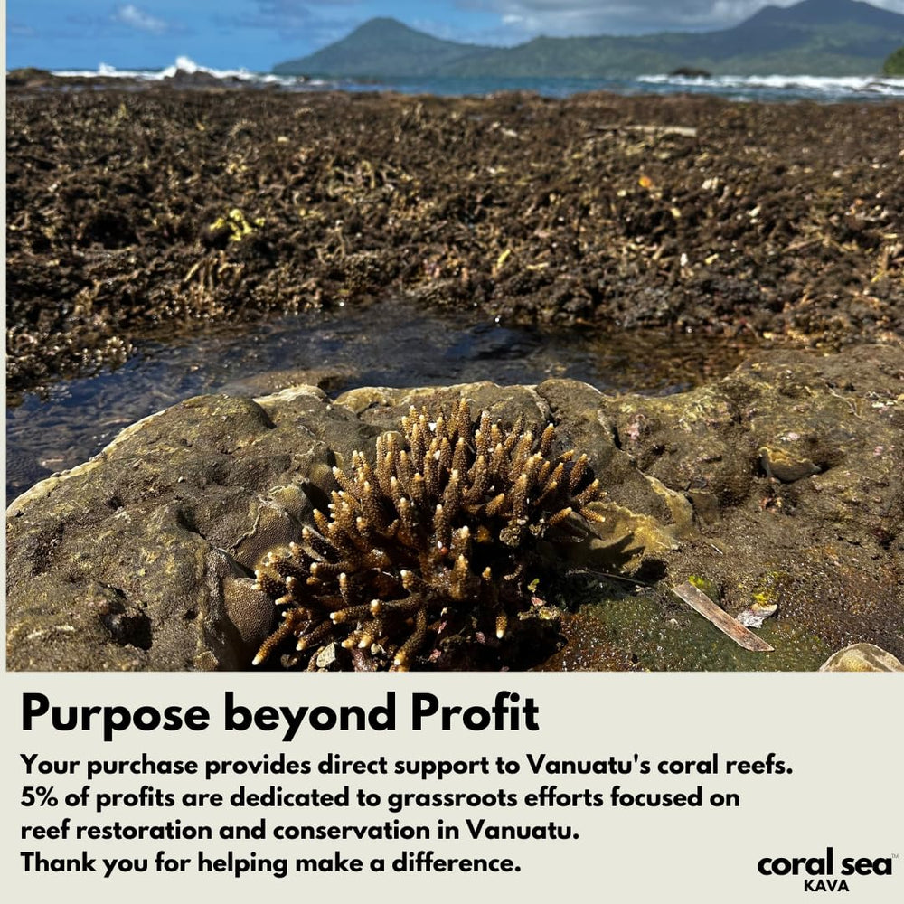 5% profits support reef restoration with kava powder