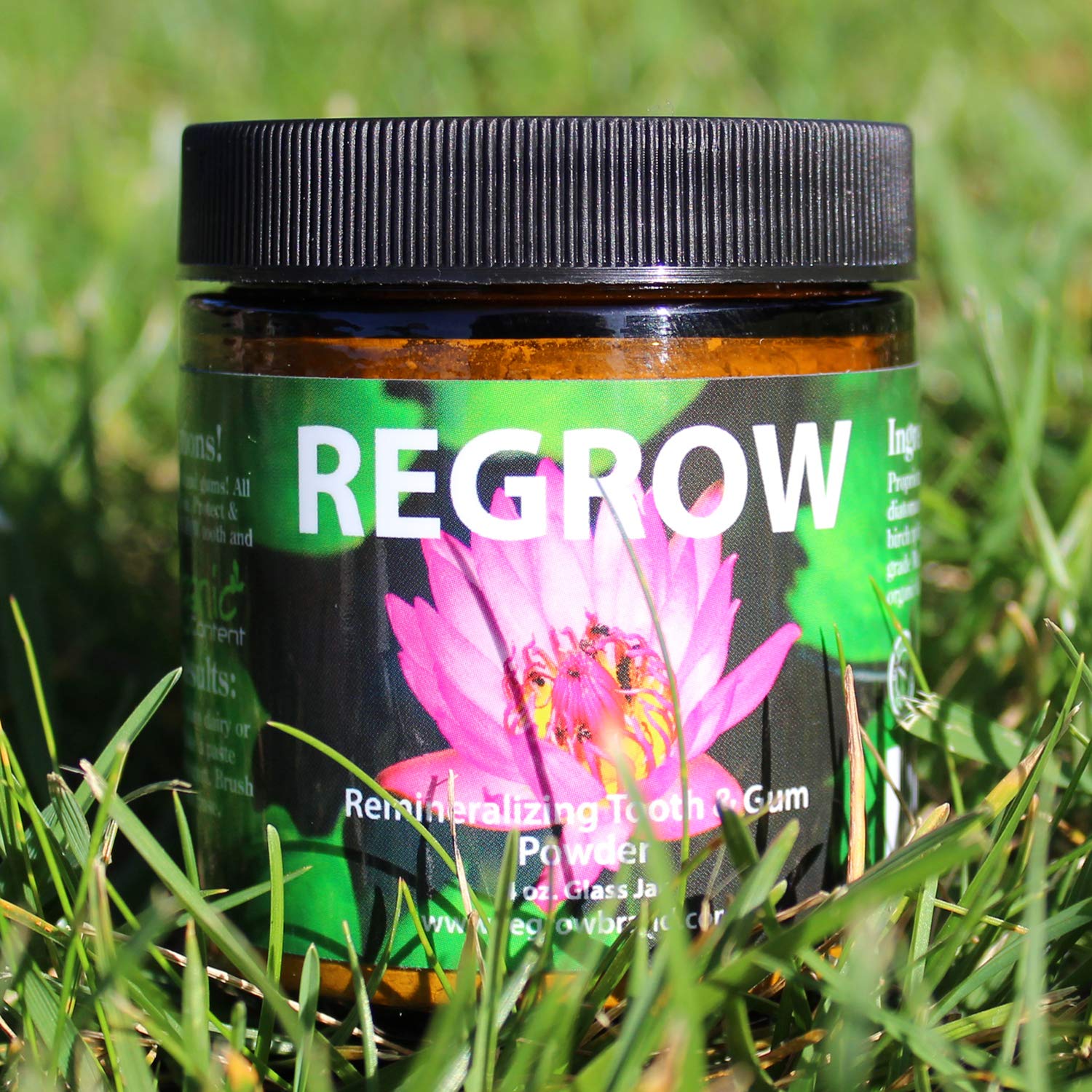 Mixing REGROW powder with yogurt to form a paste for brushing