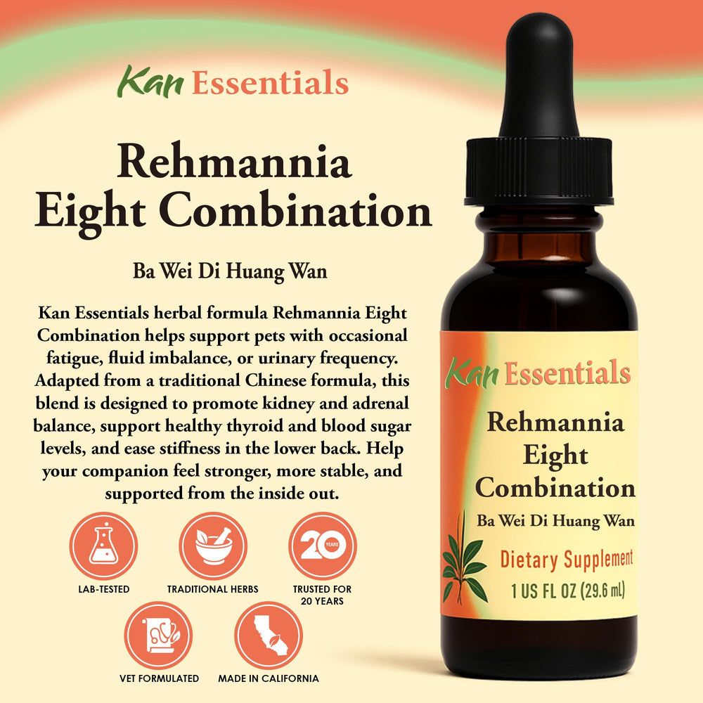 Ingredients list for Rehmannia Eight blend including astragalus and ginseng