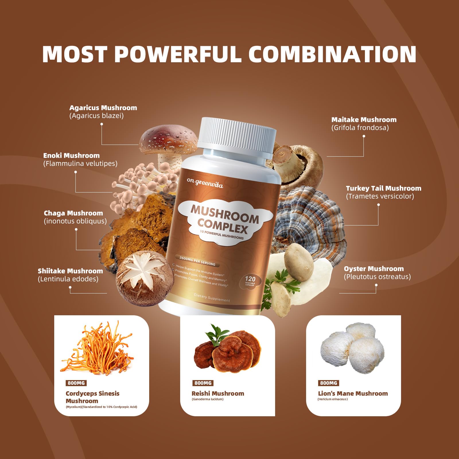 Mushroom blend featuring Reishi Lions Mane Cordyceps Chaga Turkey Tail