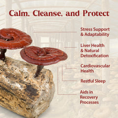 Reishi tincture drops dissolving into a beverage