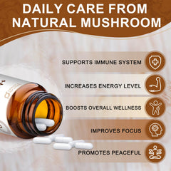 Reishi mushroom capsules