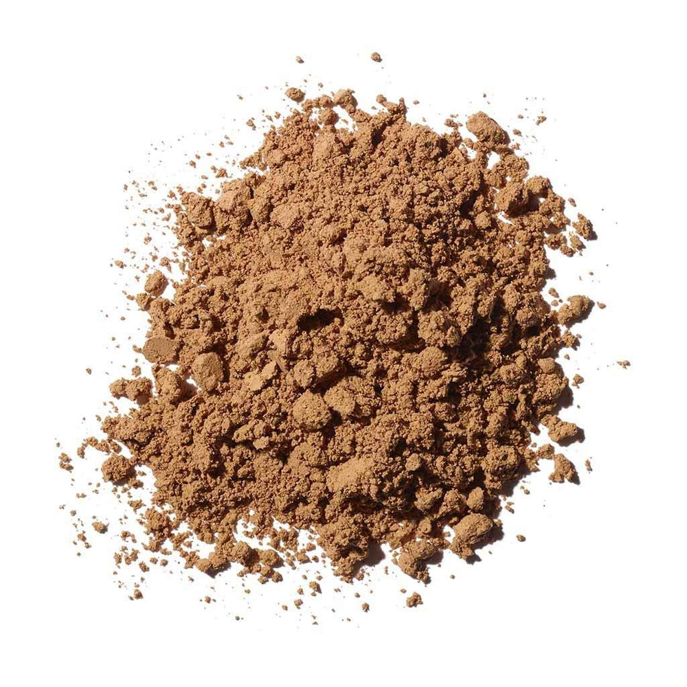 Close-up of Reishi mushroom powder texture