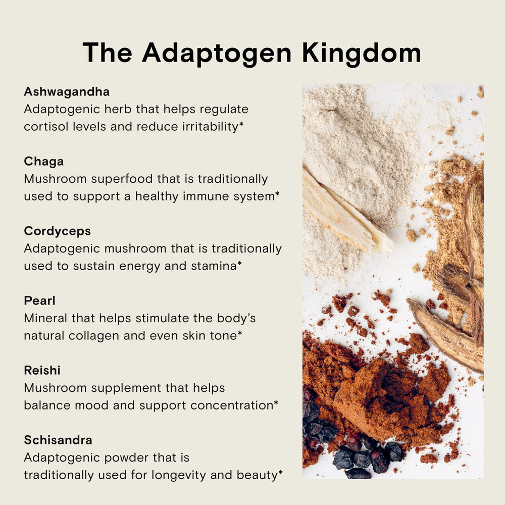 Reishi powder paired with dark chocolate