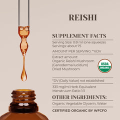Close-up of organic Ganoderma lucidum mushroom used in Reishi extract