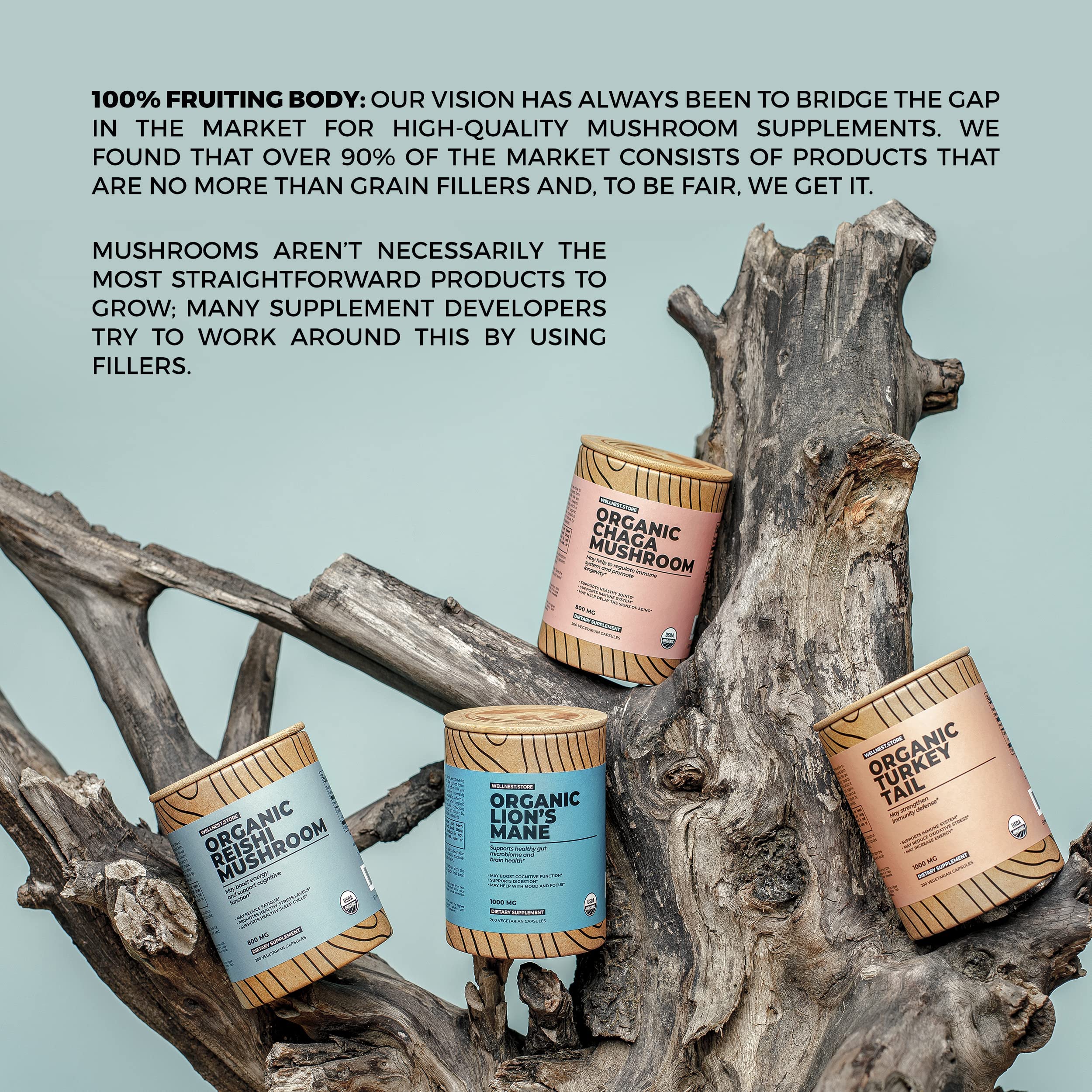 Lifestyle scene showing daily use of Reishi capsules