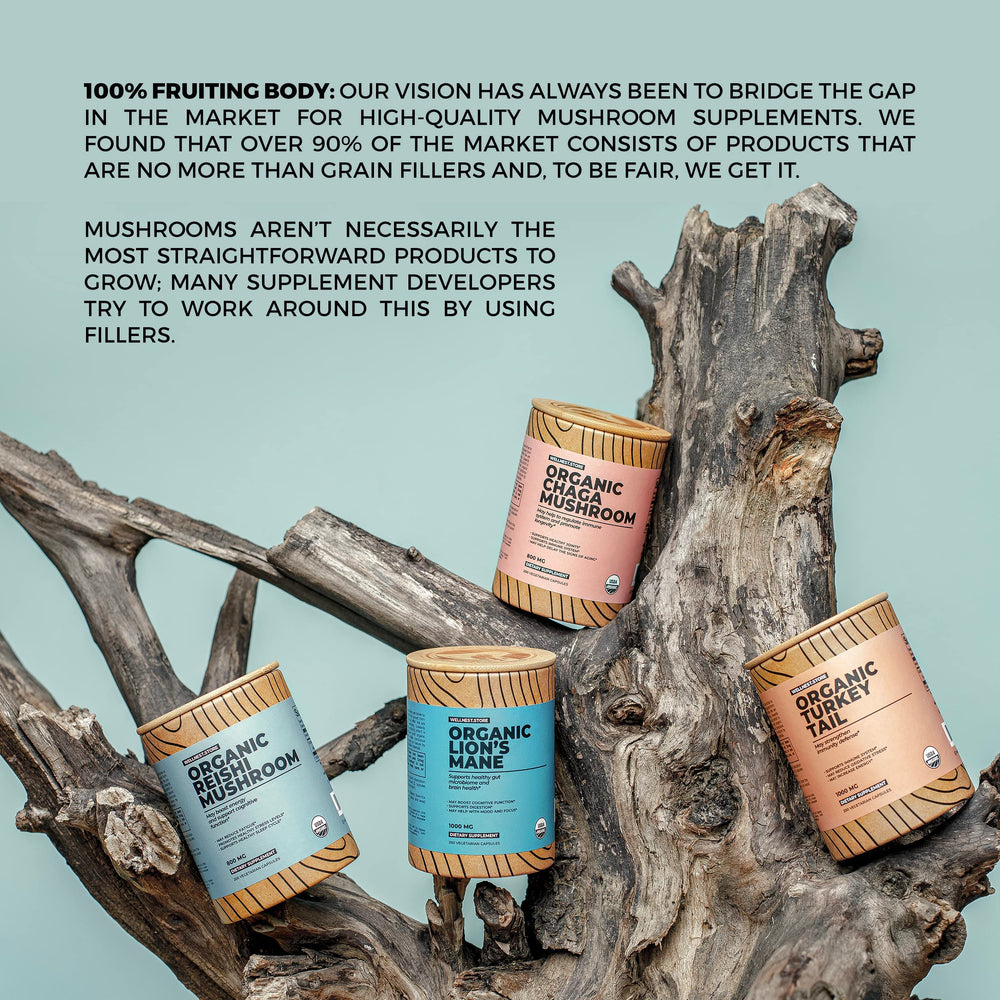 Lifestyle scene showing daily use of Reishi capsules