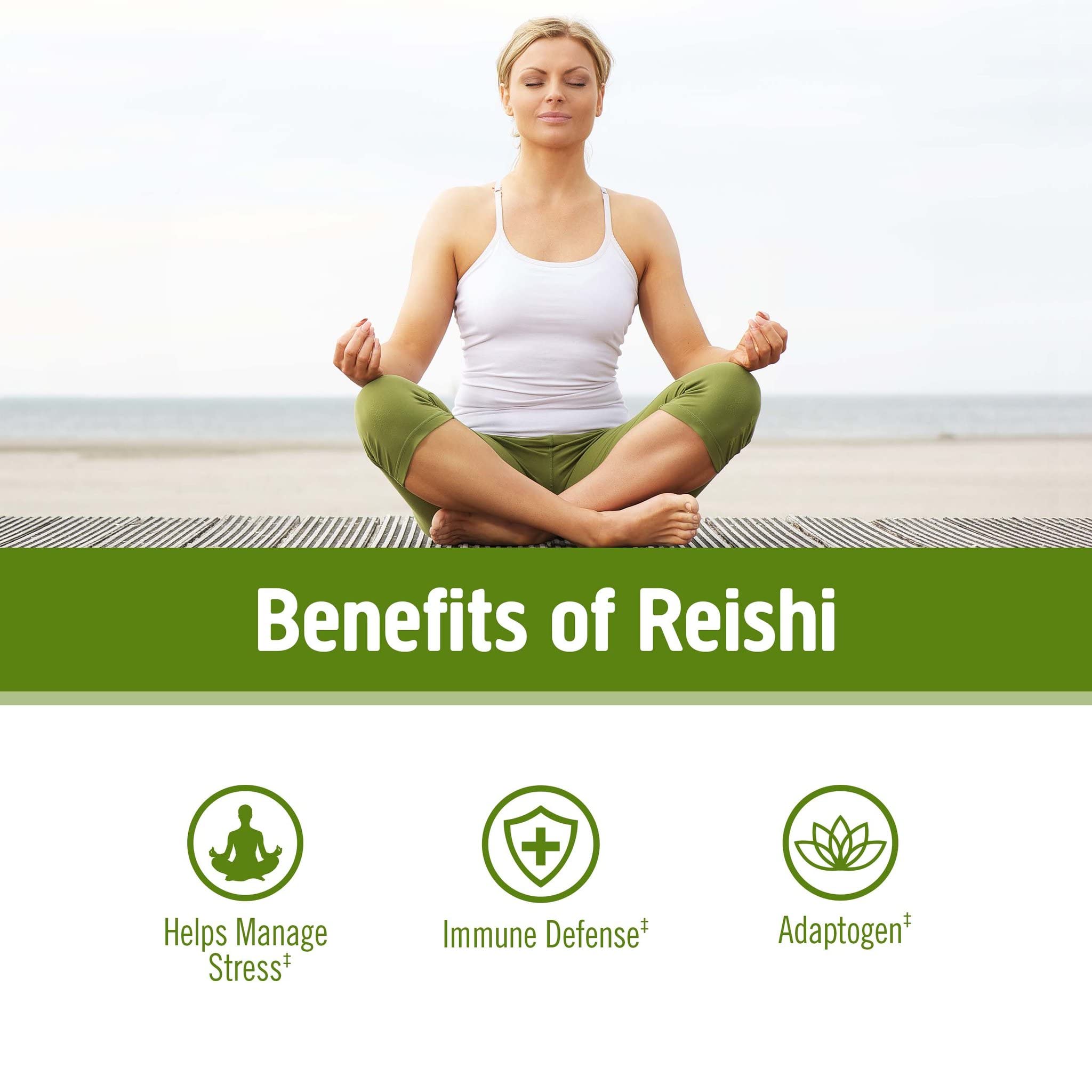 Reishi Powder in Smoothies and Recipes