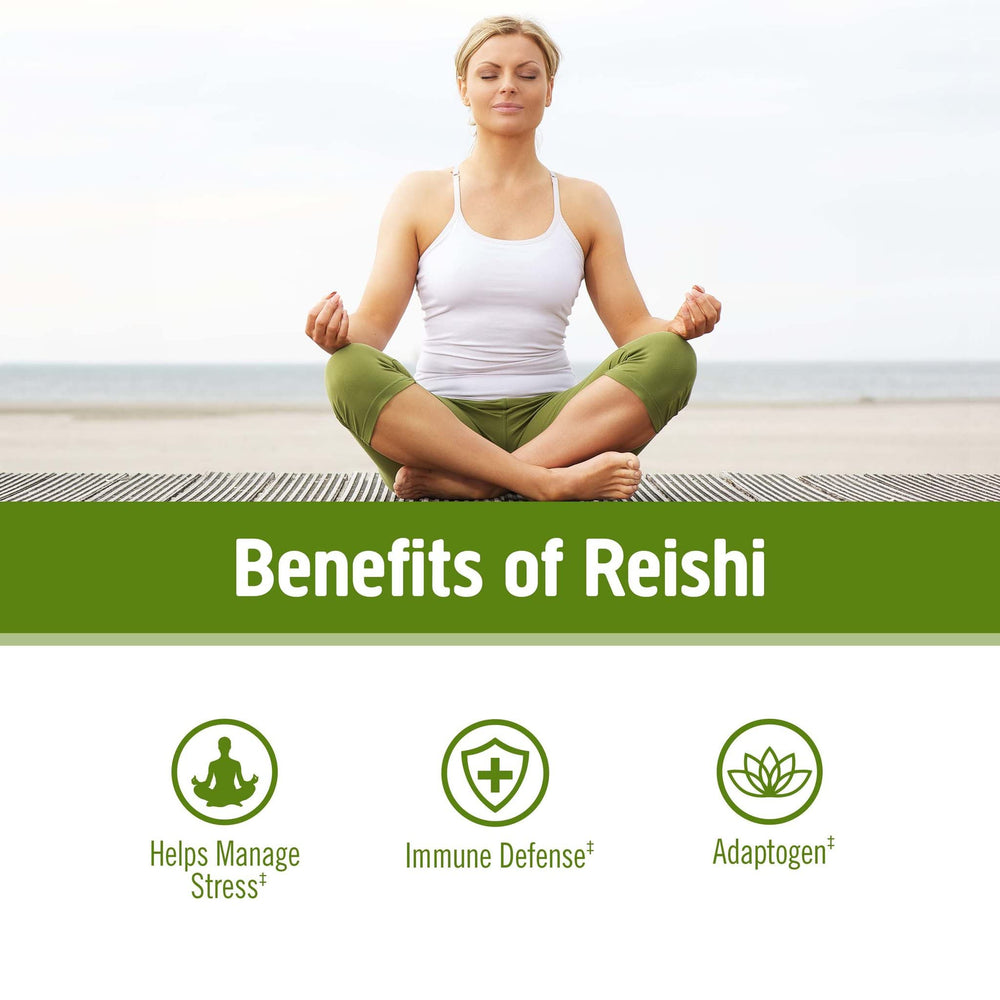 Reishi Powder in Smoothies and Recipes