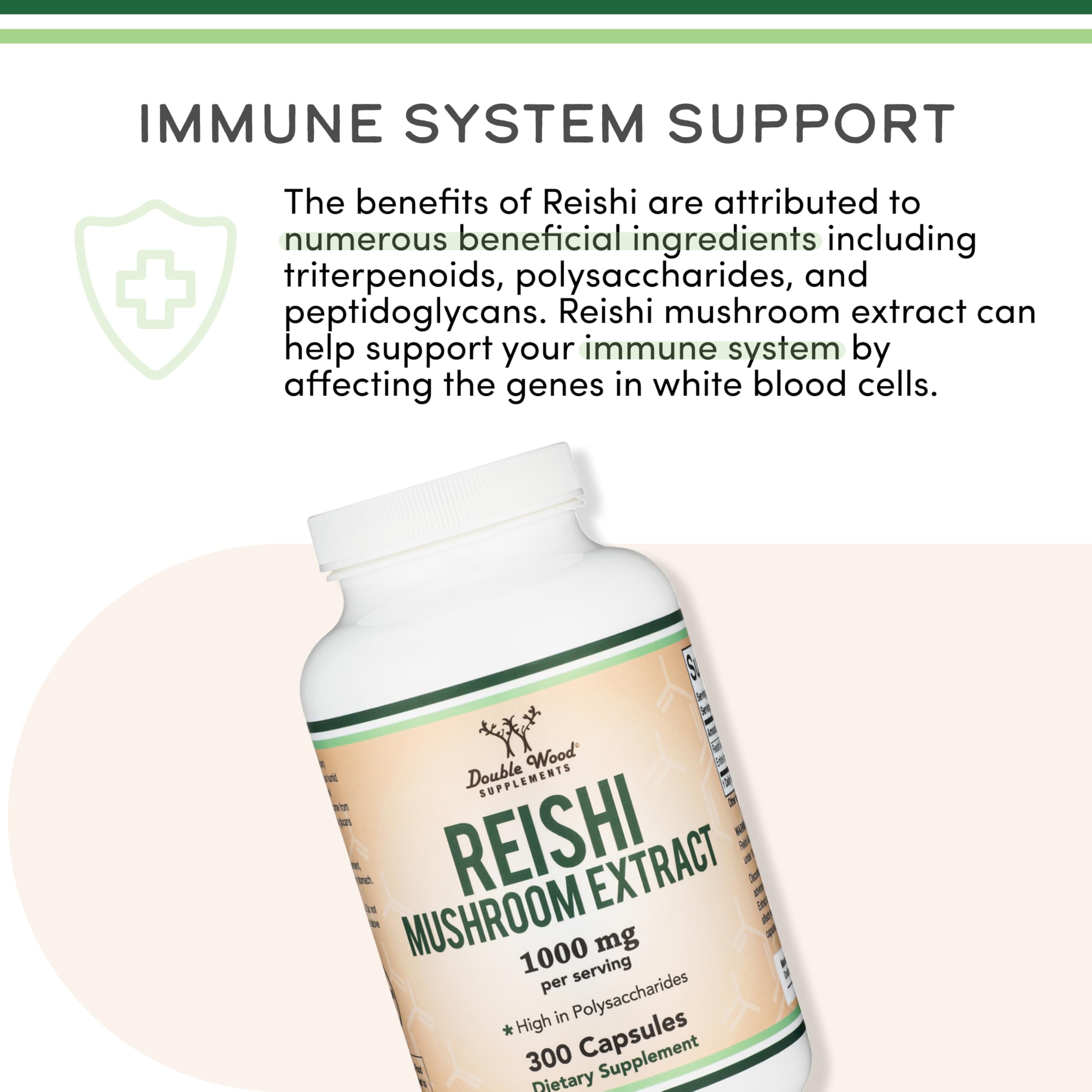 Immune system support concept illustration