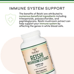 Immune system support concept illustration