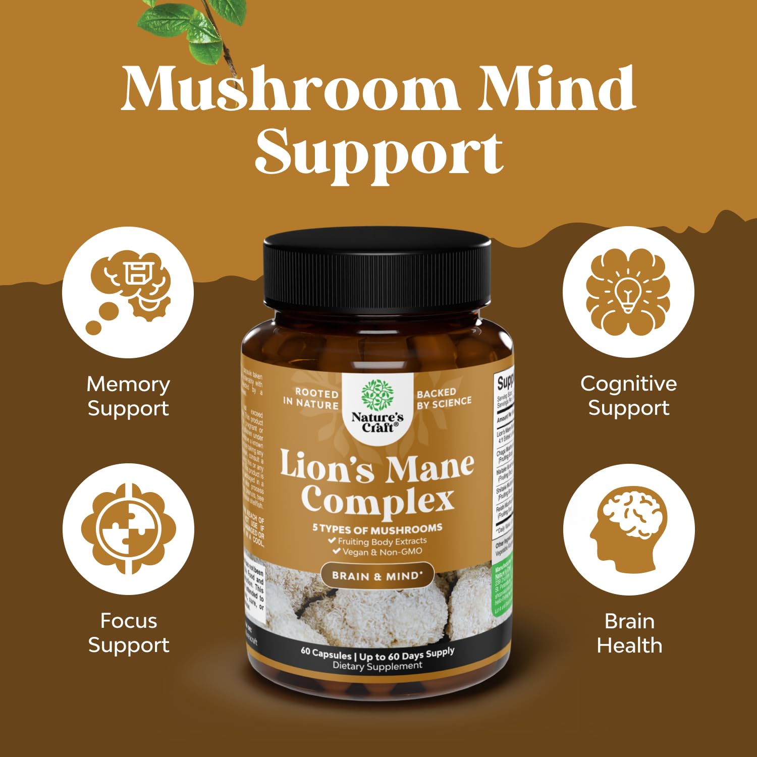 Maitake and reishi extract in brain health supplement