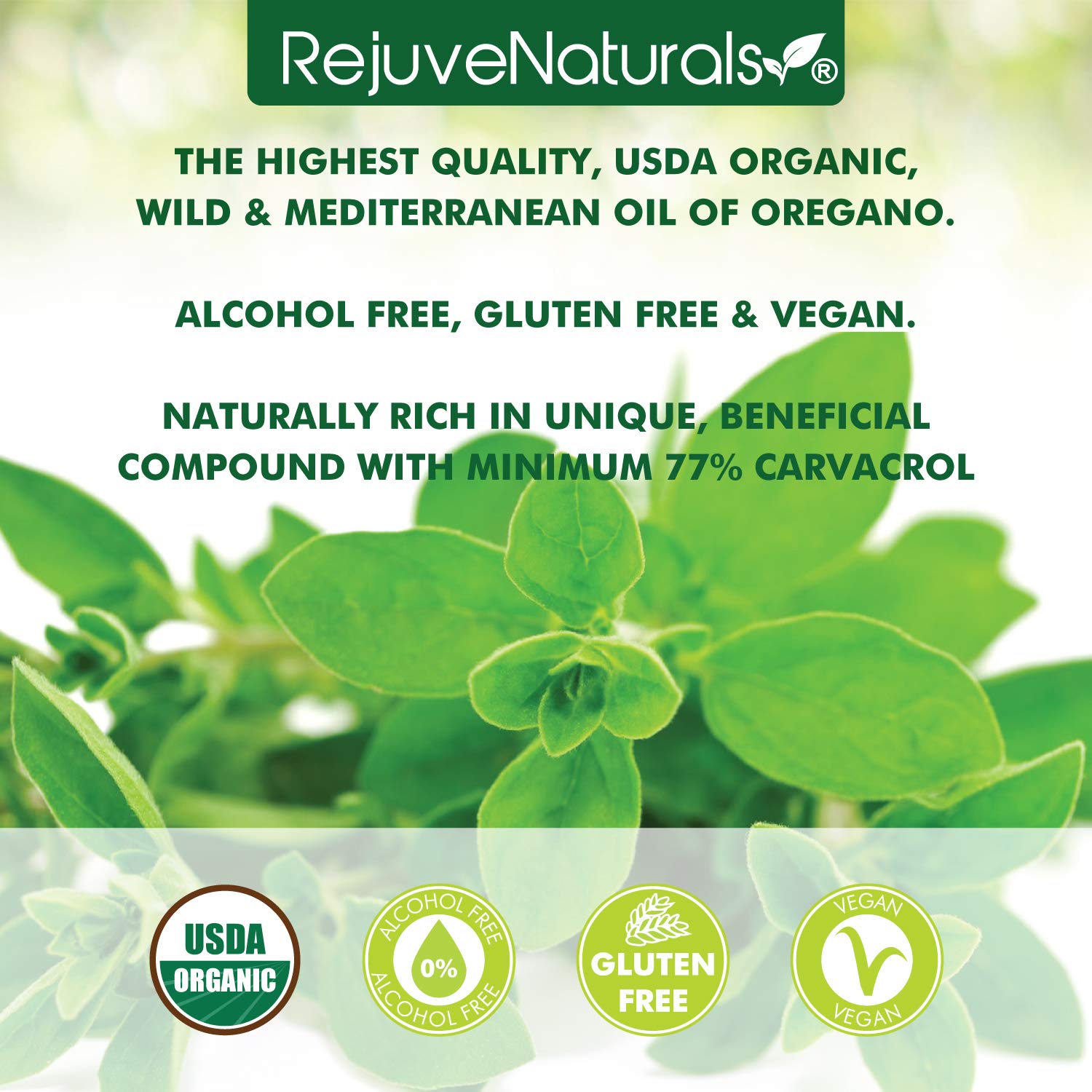 Organic oil of oregano from wild Mediterranean oregano