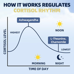 Relaxation and sleep support with chamomile and magnesium