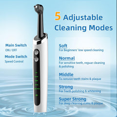 Five replacement brush heads