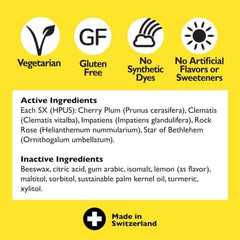 Gluten-free, sugar-free, vegetarian label on packaging