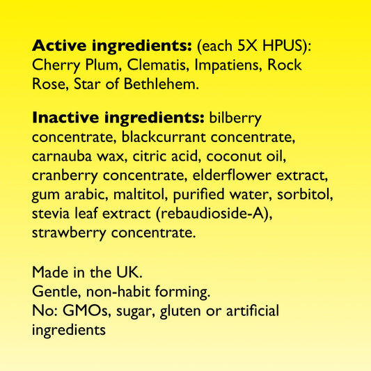 Tin of Rescue Bach PASTILLES Mixed Berry on a surface