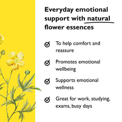 Original RESCUE tincture – blend of 5 flower essences