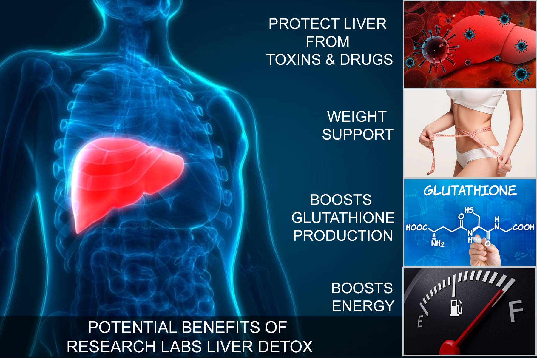 Two bottles of Research Labs Liver Detox 2 Pack
