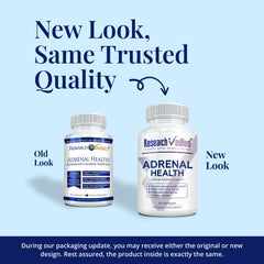 Close-up of adaptogenic mushroom blend used in the supplement