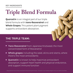 Brain health and longevity support from resveratrol