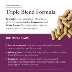 Resveratrol muscadine grapes illustration signaling natural ingredient source