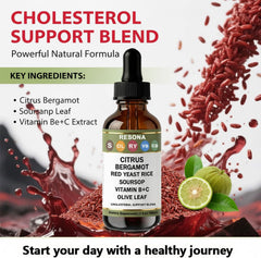 Ingredients display Citrus Bergamot Soursop Red Yeast Rice Garlic Olive Leaf