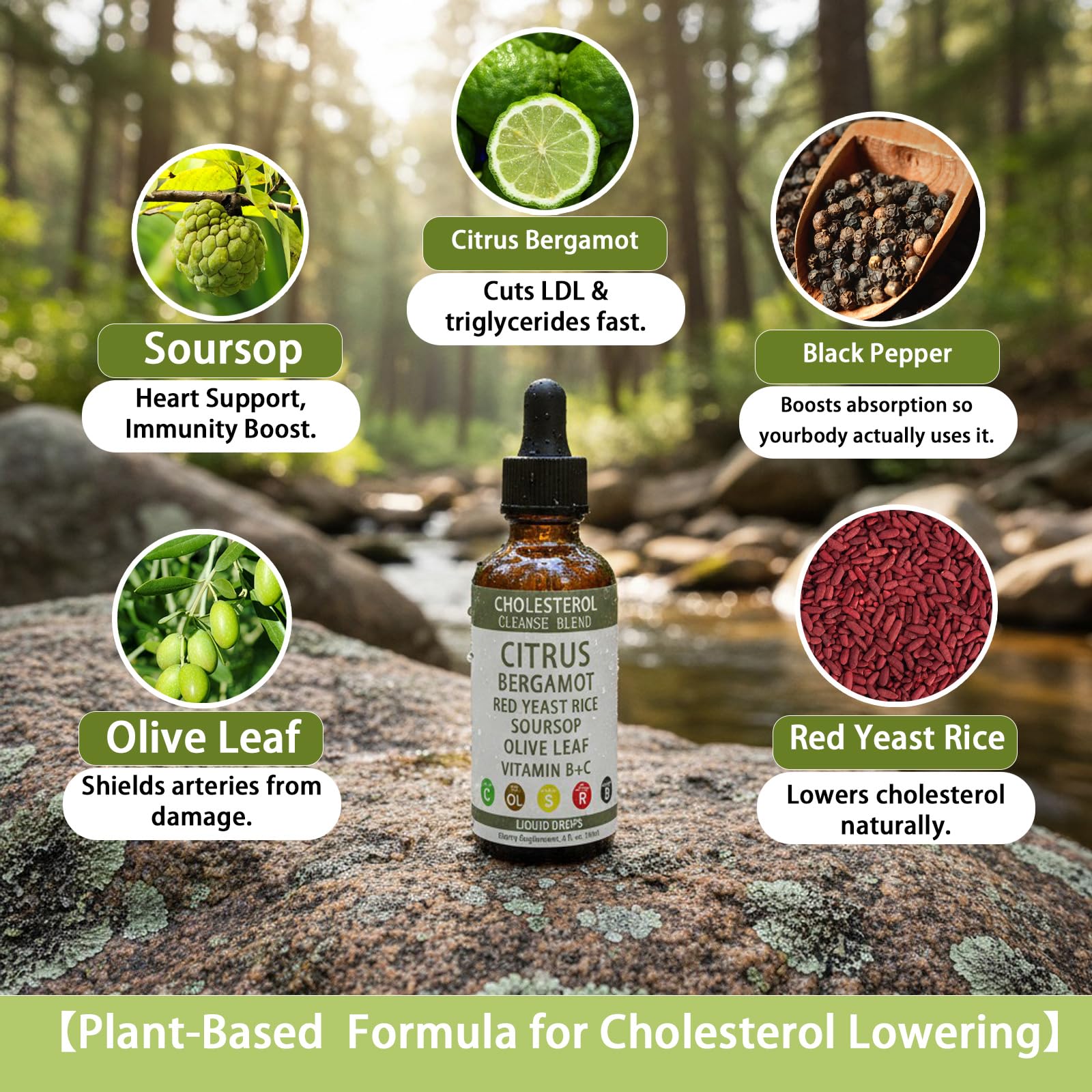 Vegan and Non-GMO plant-based dietary supplement badge
