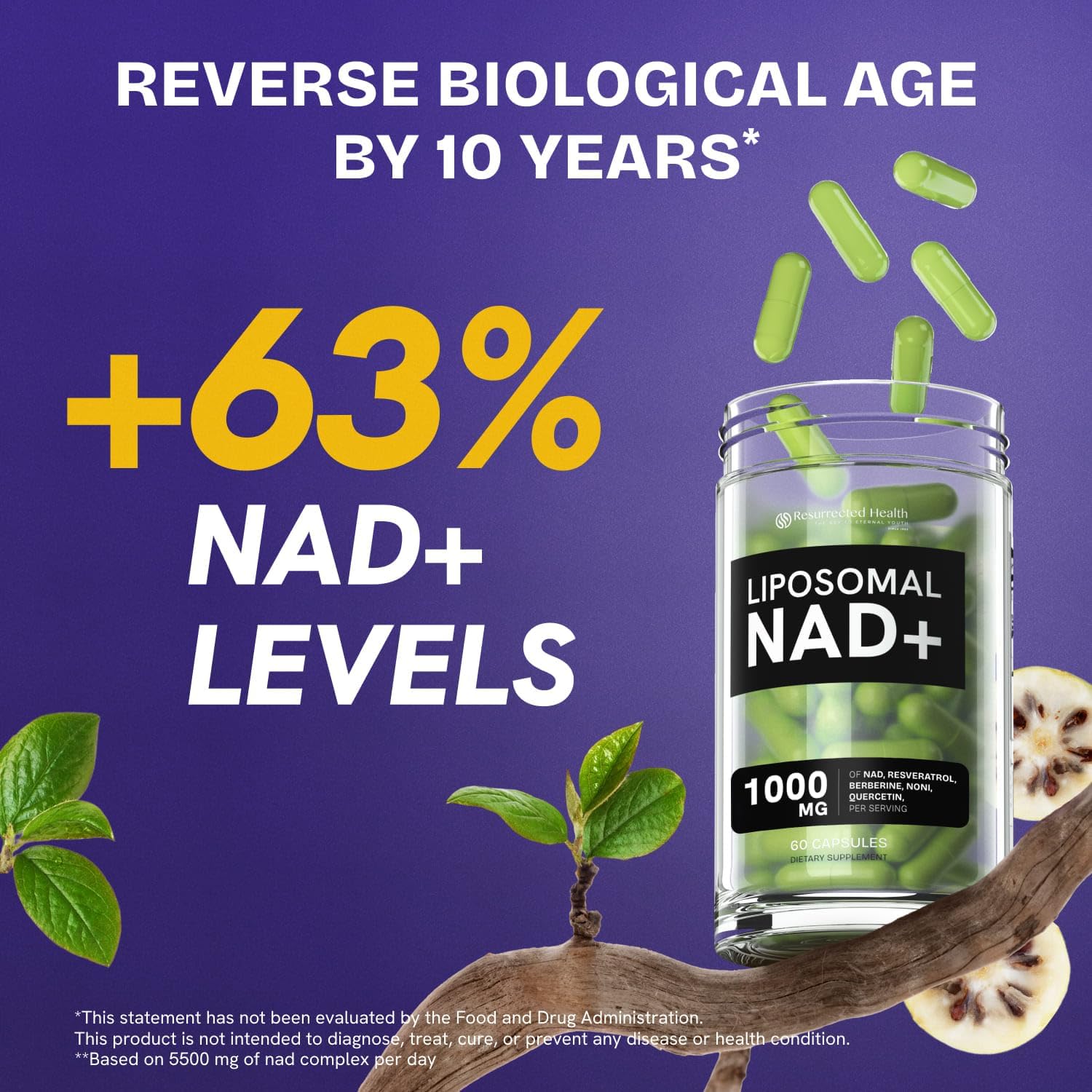 Close-up of NAD liposomal capsules