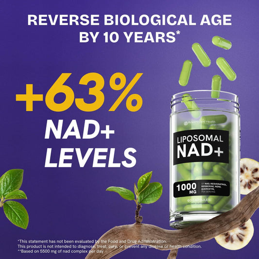 Close-up of NAD liposomal capsules