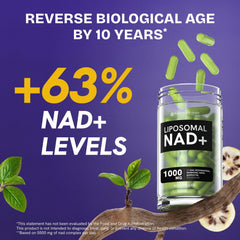 Close-up of NAD liposomal capsules