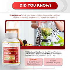Resveratrol, Cinnamon, and Berberine complex imagery