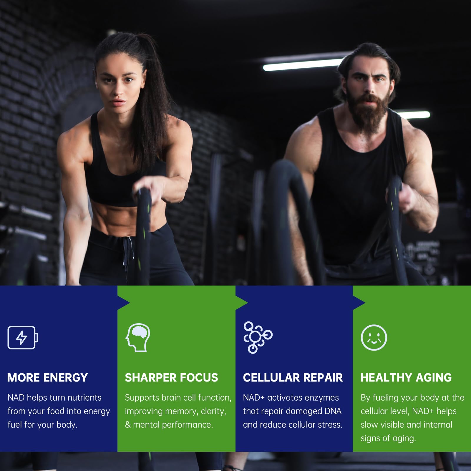 Resveratrol, CoQ10 and Quercetin blend image