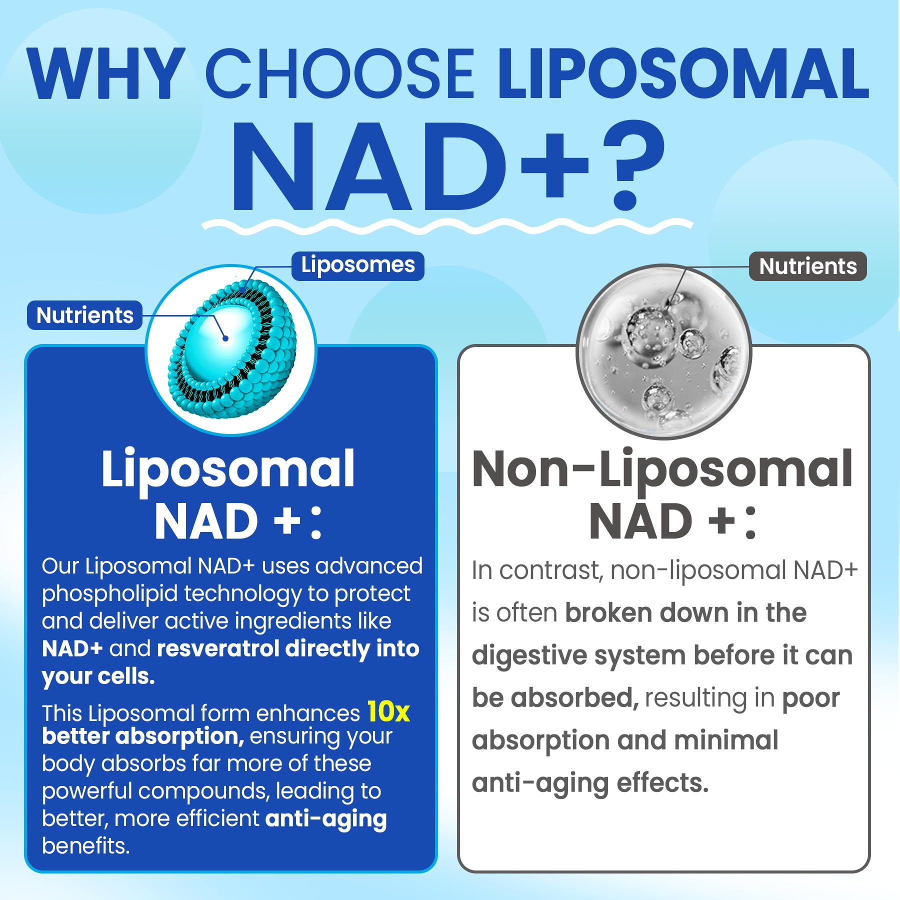 Ingredients Resveratrol Fisetin Quercetin included with NAD+ formula