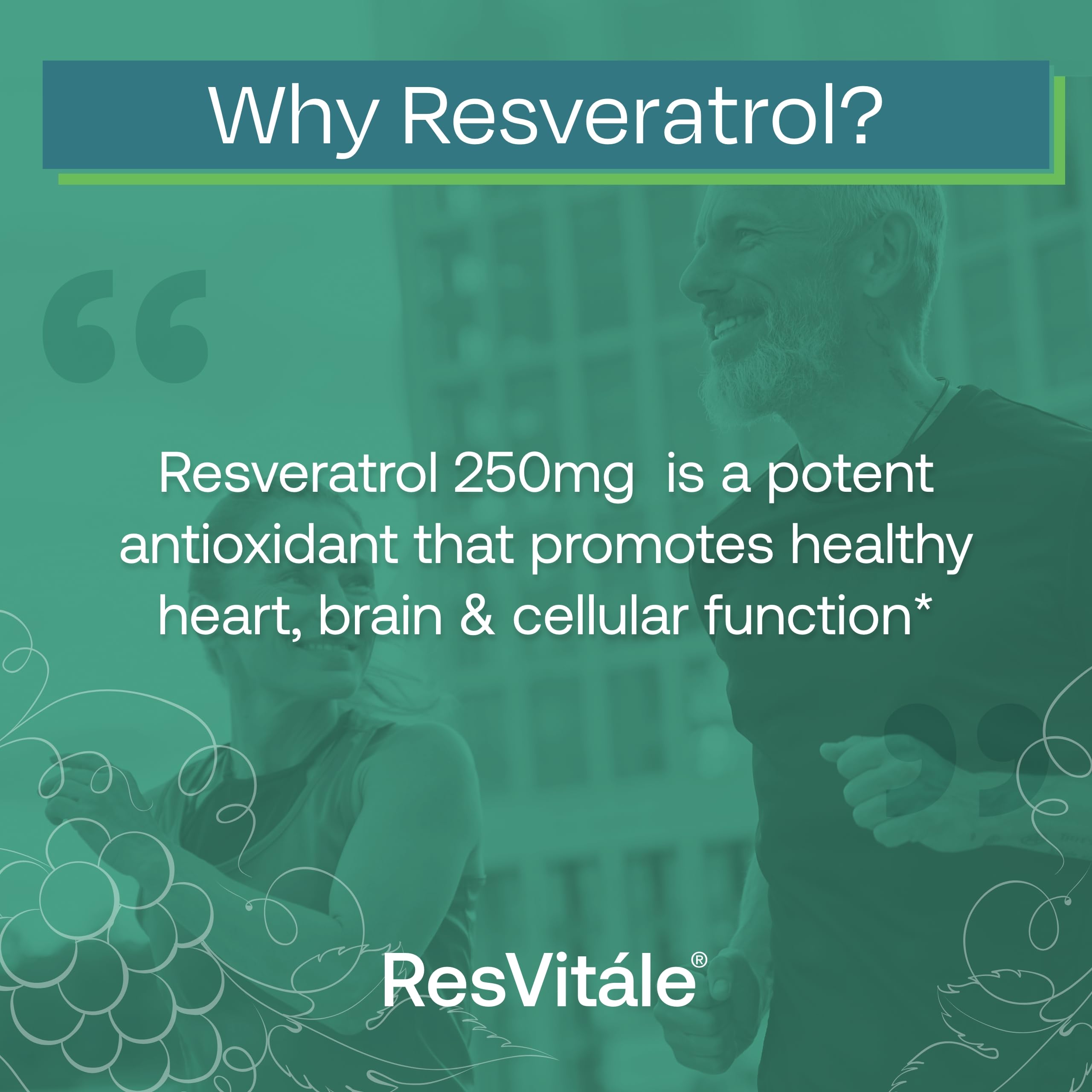 Wildcrafted Japanese knotweed used in ResVitále Resveratrol