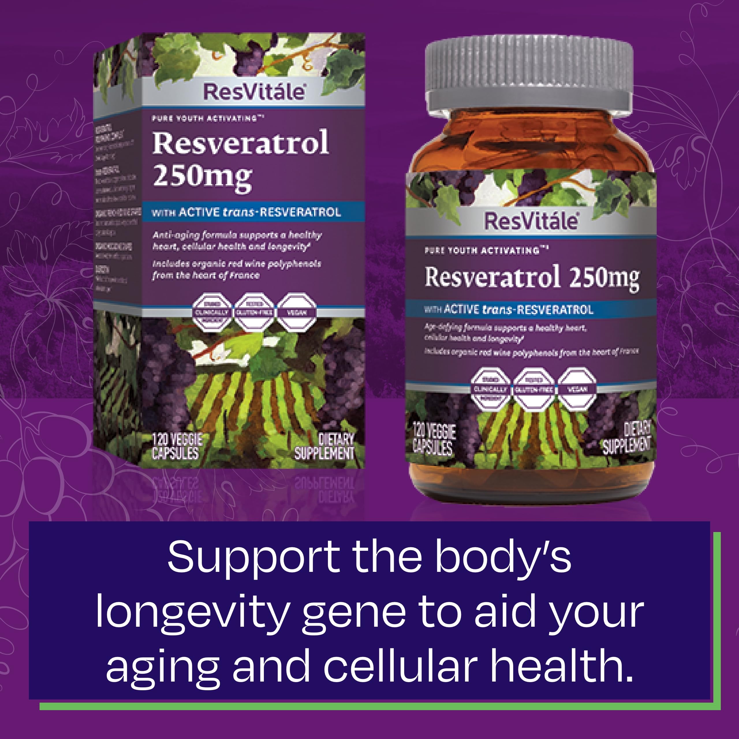 Longevity gene support and aging benefits