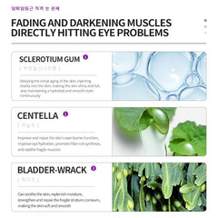 RETZLA Centella Asiatica extract close-up, antioxidant support for eye-area skin.