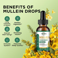 Product label showing 1200mg Mullein Leaf Extract and other ingredients