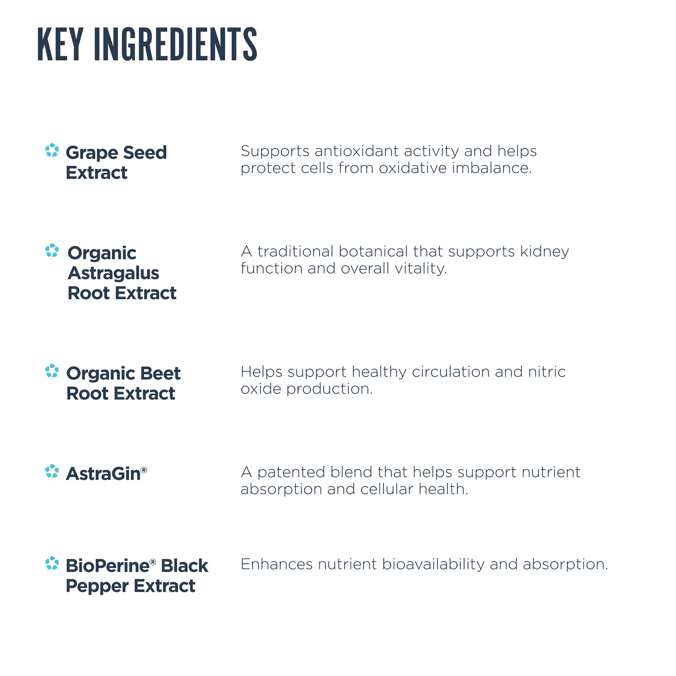 Astragalus, beet root and grape seed ingredients