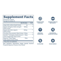 Revive MD Kidney Support grape seed ingredients signaling antioxidant benefits