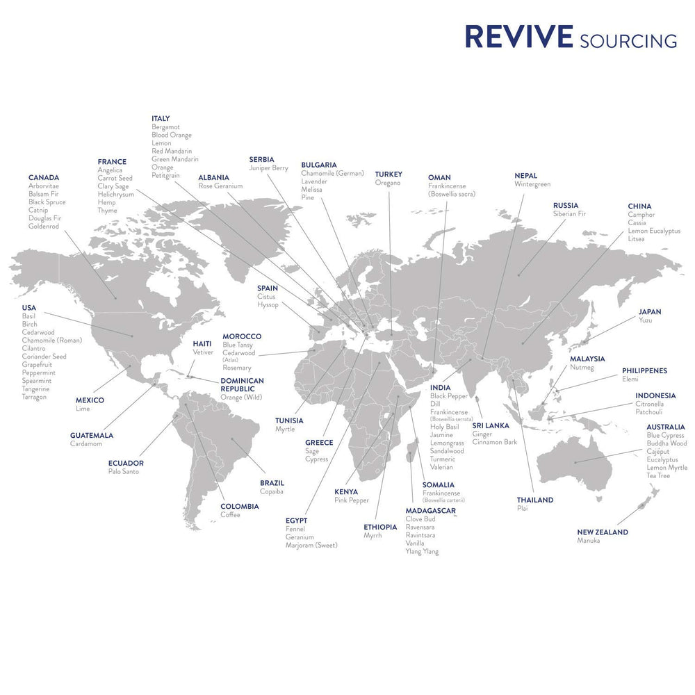 REVIVE Starter Kit packaging and contents showing 10 oils