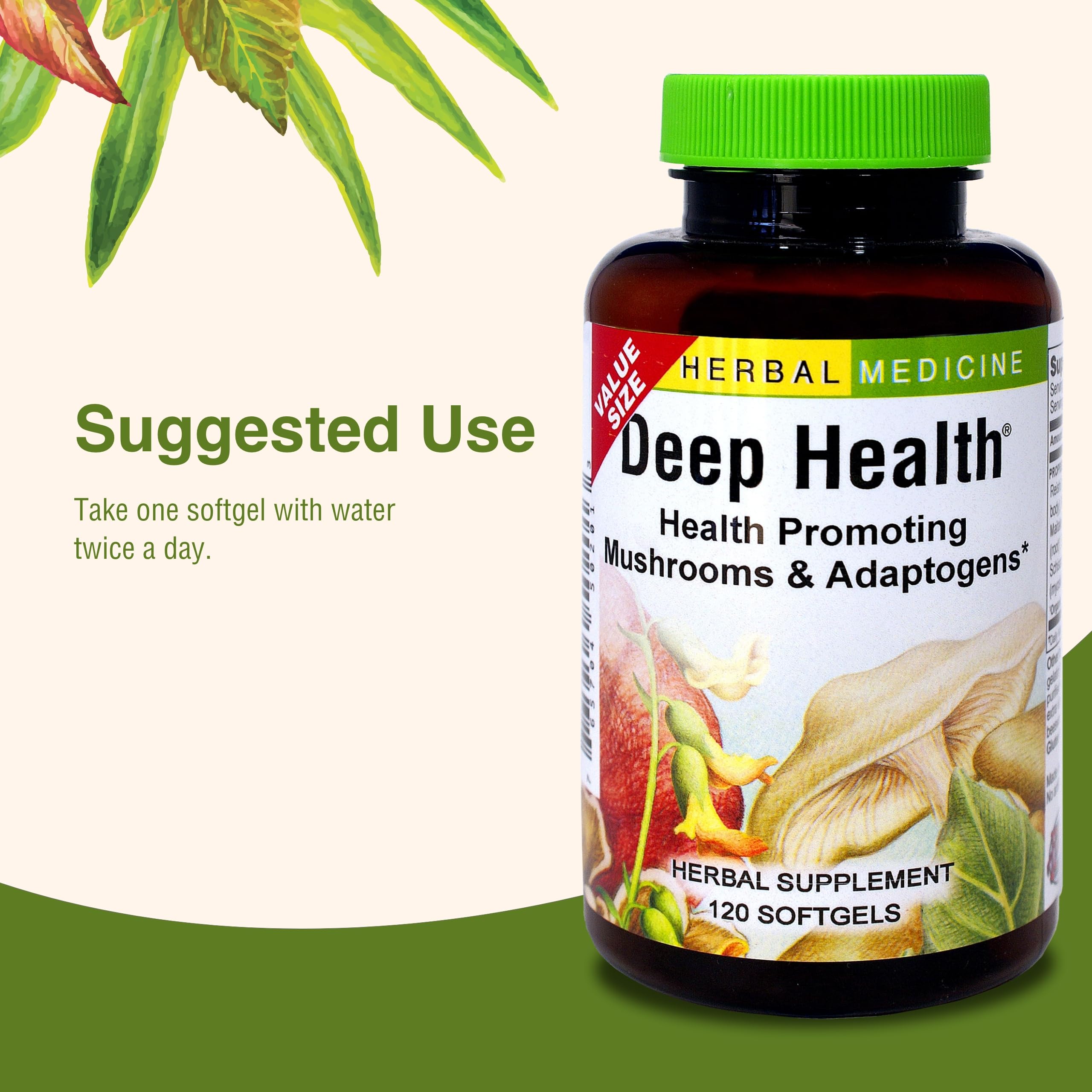 Rhodiola rosea root used in Deep Health