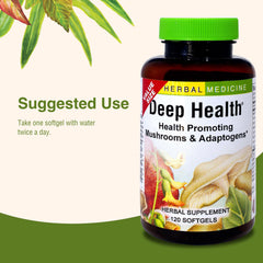 Rhodiola rosea root used in Deep Health