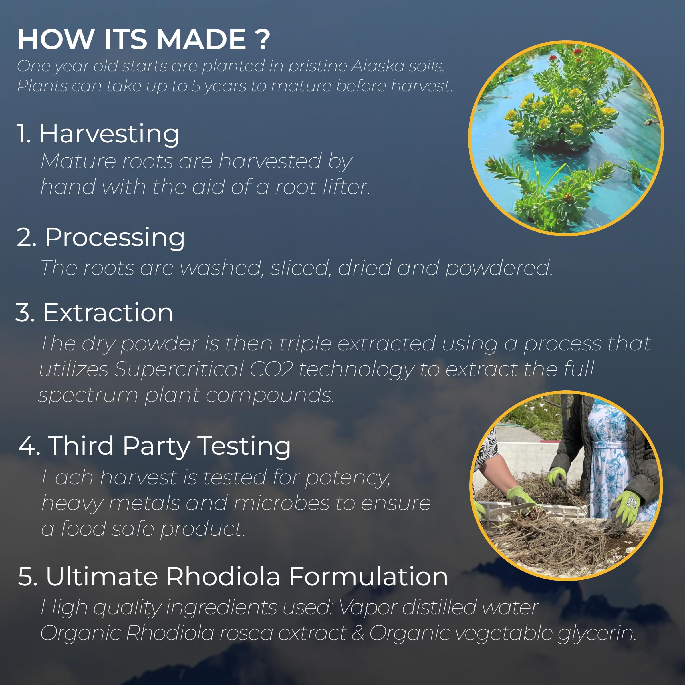 Product packaging and bottle of Rhodiola tincture