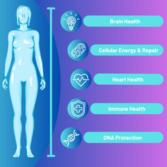 RiboYOUNG NR nicotinamide riboside patent-pending ingredient