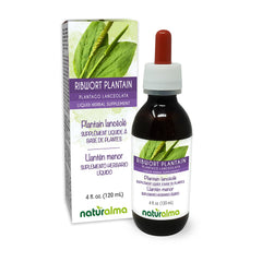 Ribwort plantain leaf tincture bottle 4 oz in 1:5 alcohol-free formulation