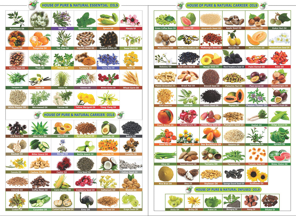 Roll-on or bottle of Ridge Gourd Carrier Oil 15 ml