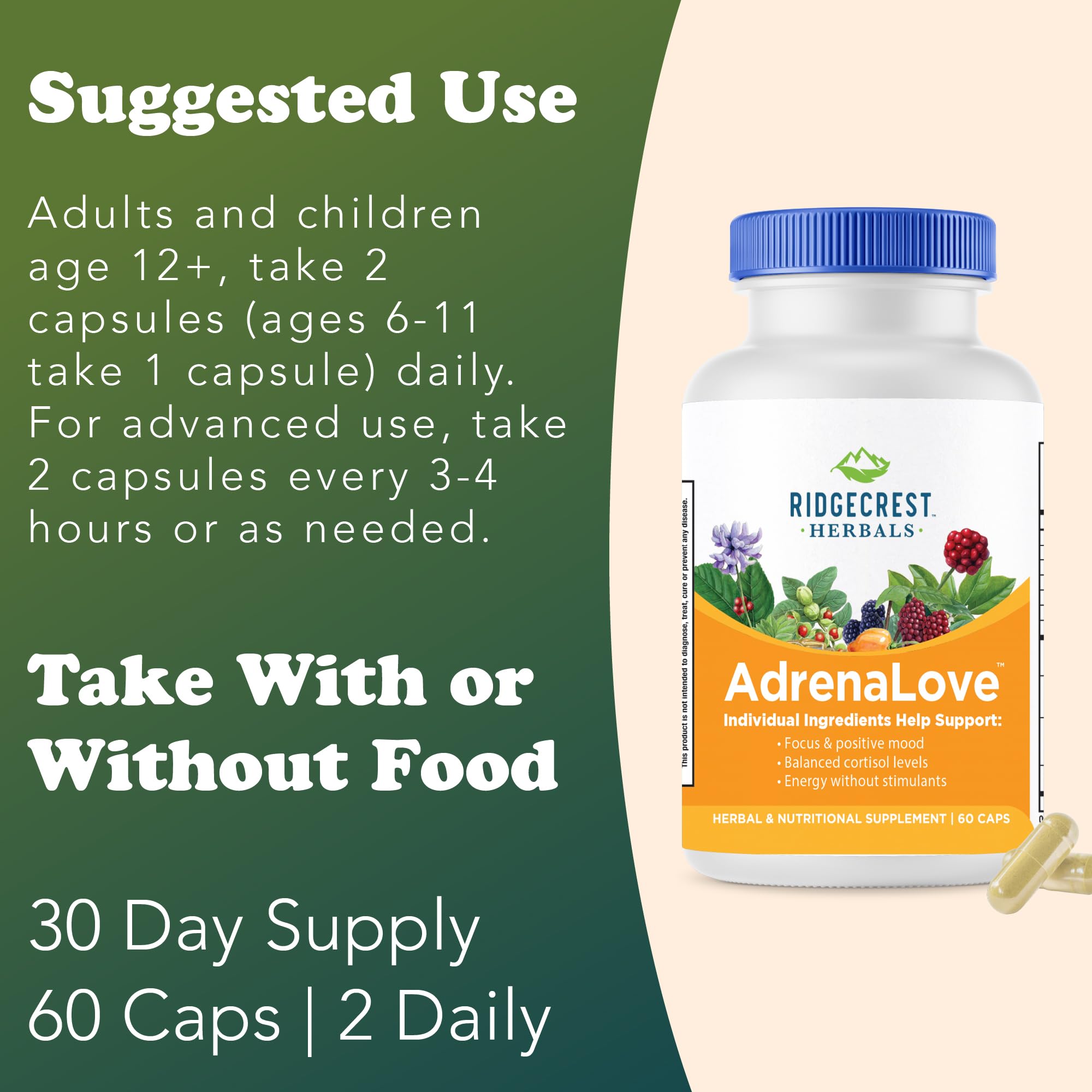Ginseng root – adaptogen for vitality